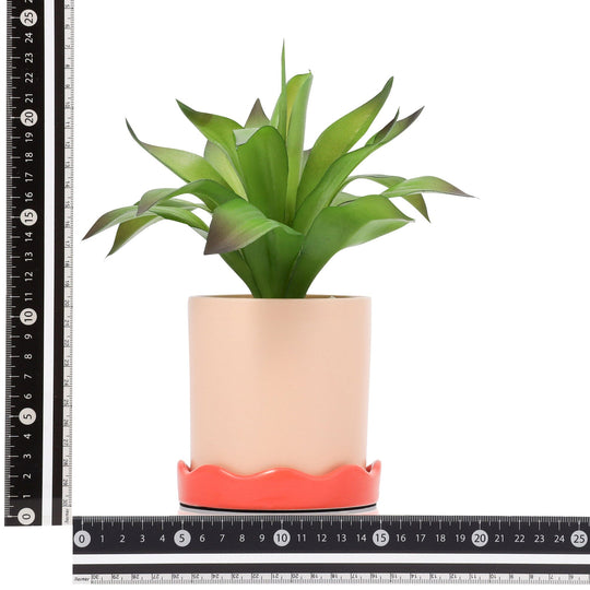 Art Green & Pot Agave Small