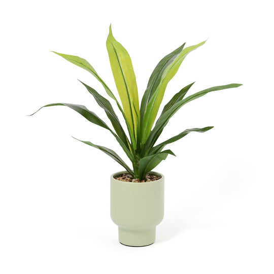 Art Green & Pot  Dracaena Medium