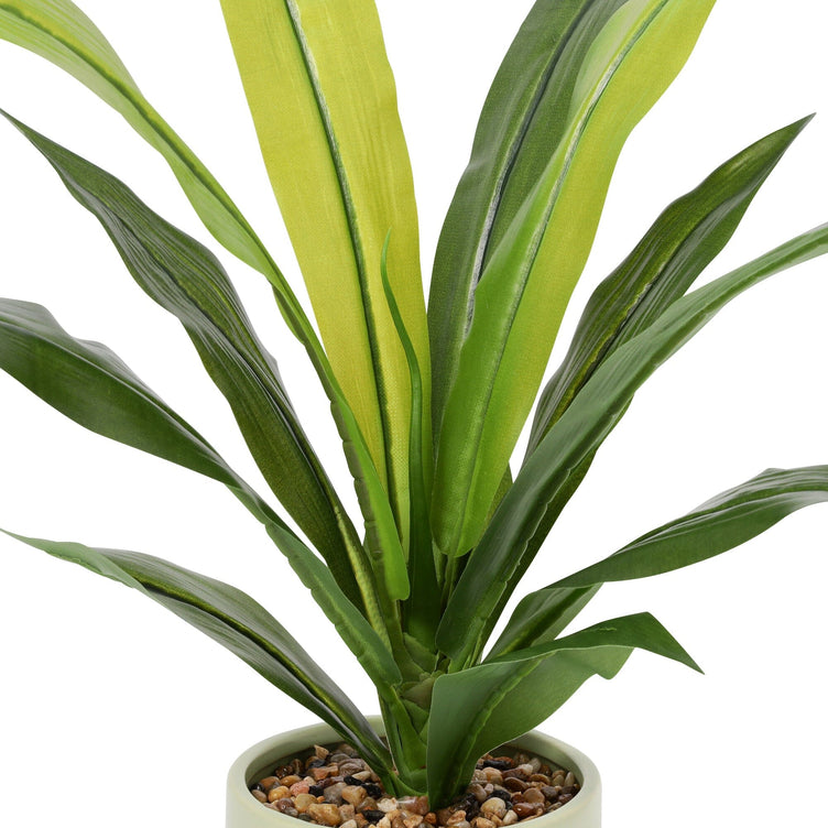 Art Green & Pot  Dracaena Medium