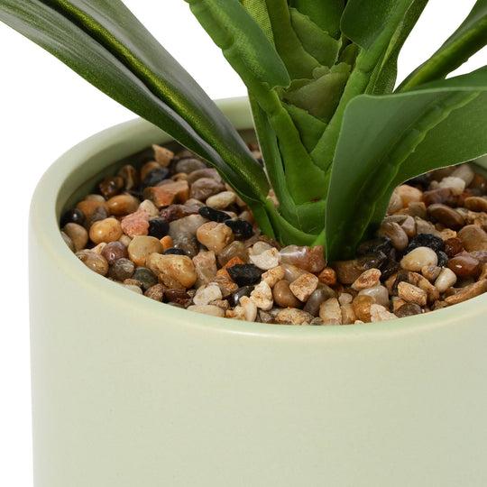 Art Green & Pot  Dracaena Medium