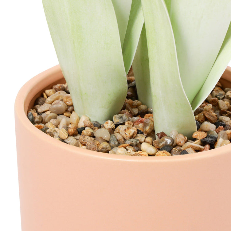 Art Green & Pot  Sansevieria Medium