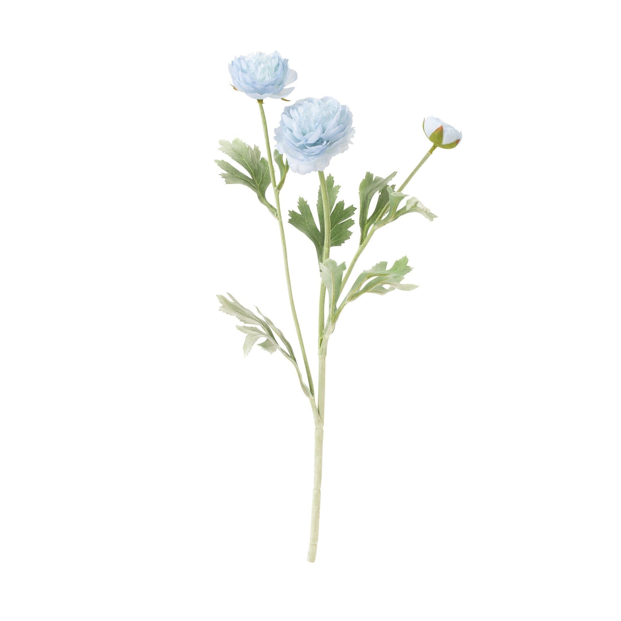 Artificial Flower Graceful Ranunculus Light Blue – Francfranc Hong Kong