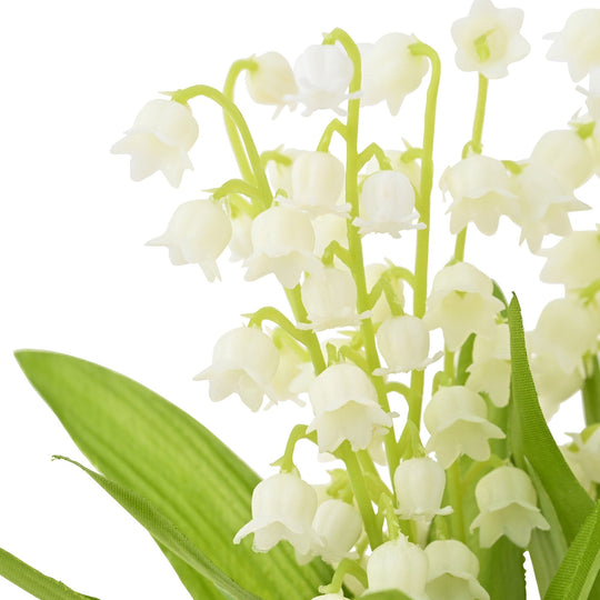 Lily Of The Valley Bundle White