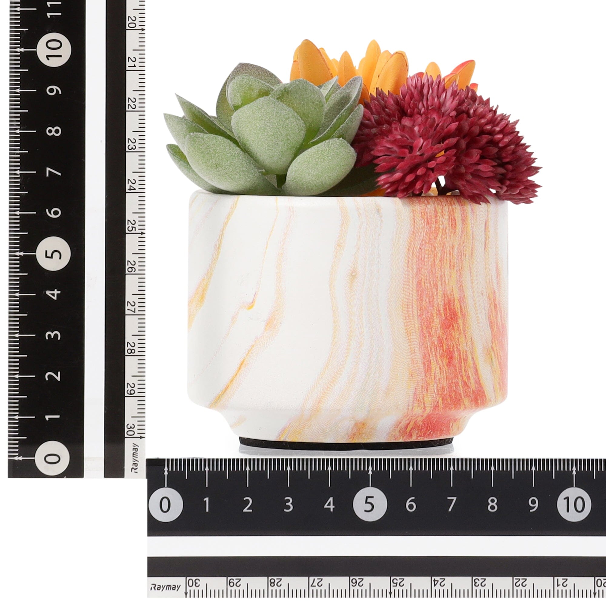 Art Green & Pot Succulent  Orange