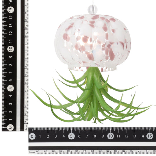 Art Green Jellyfish Pink