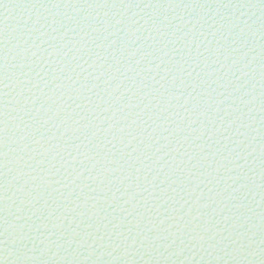 Removable Wallpaper Plain Mint