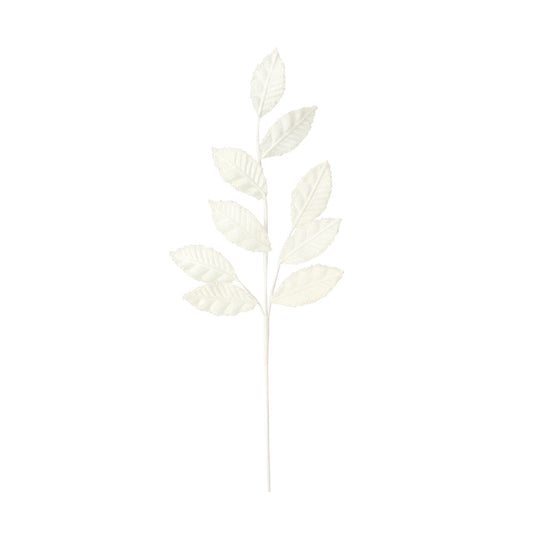 Art Plants Frost Leaf White