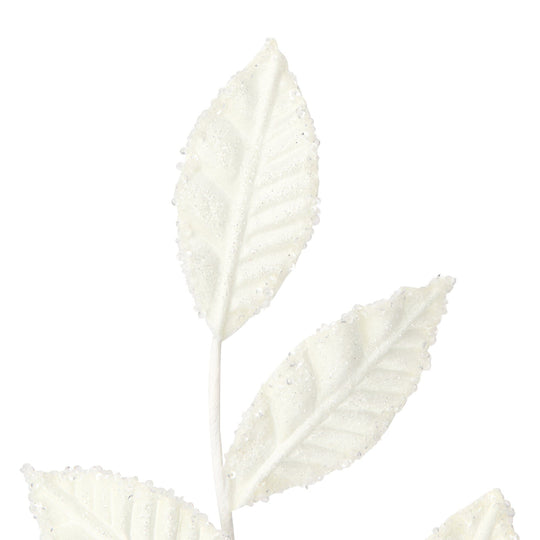 Art Plants Frost Leaf White