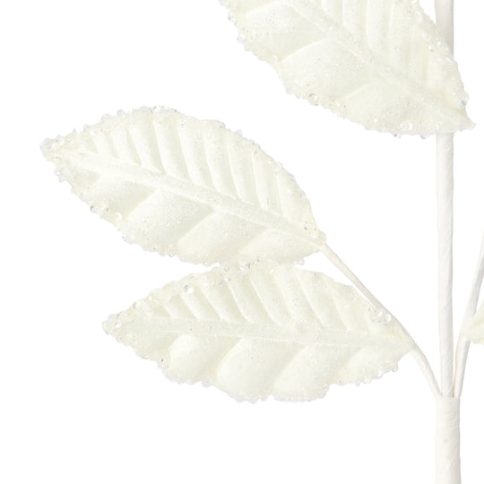 Art Plants Frost Leaf White