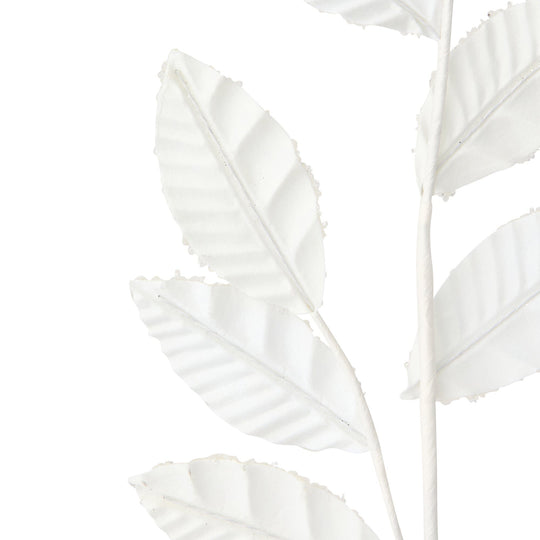 Art Plants Frost Leaf White