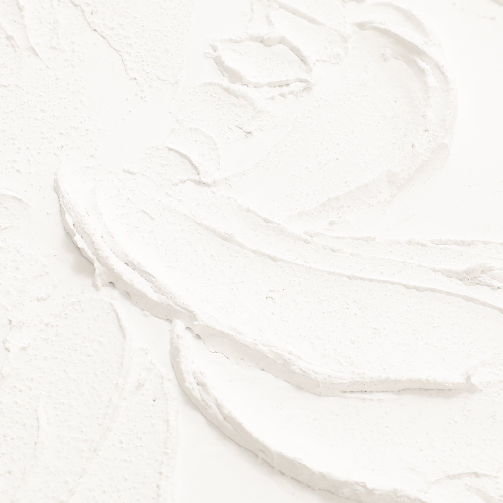 White Botanical Art Board B