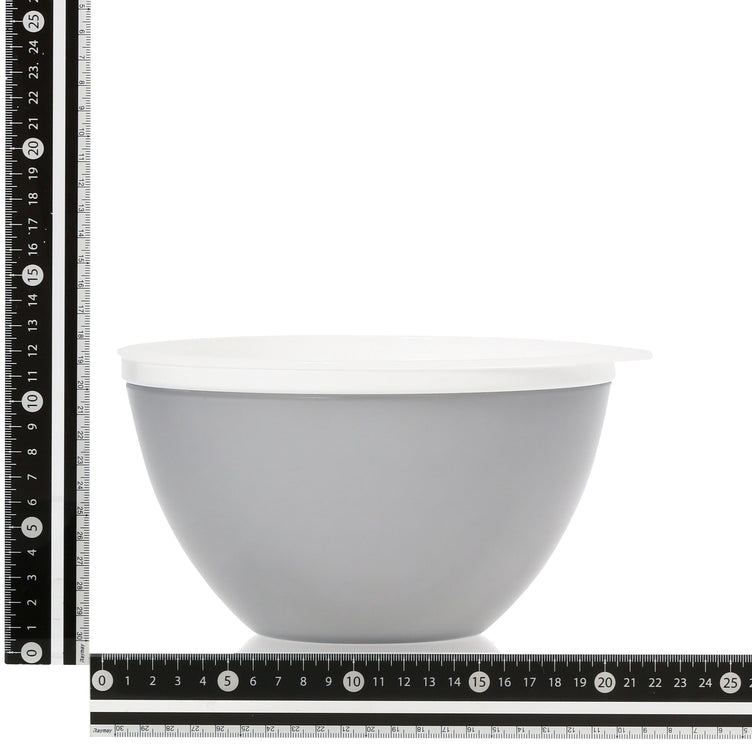 HEAT-RESISTANT BOWL SET 20CM GRAY