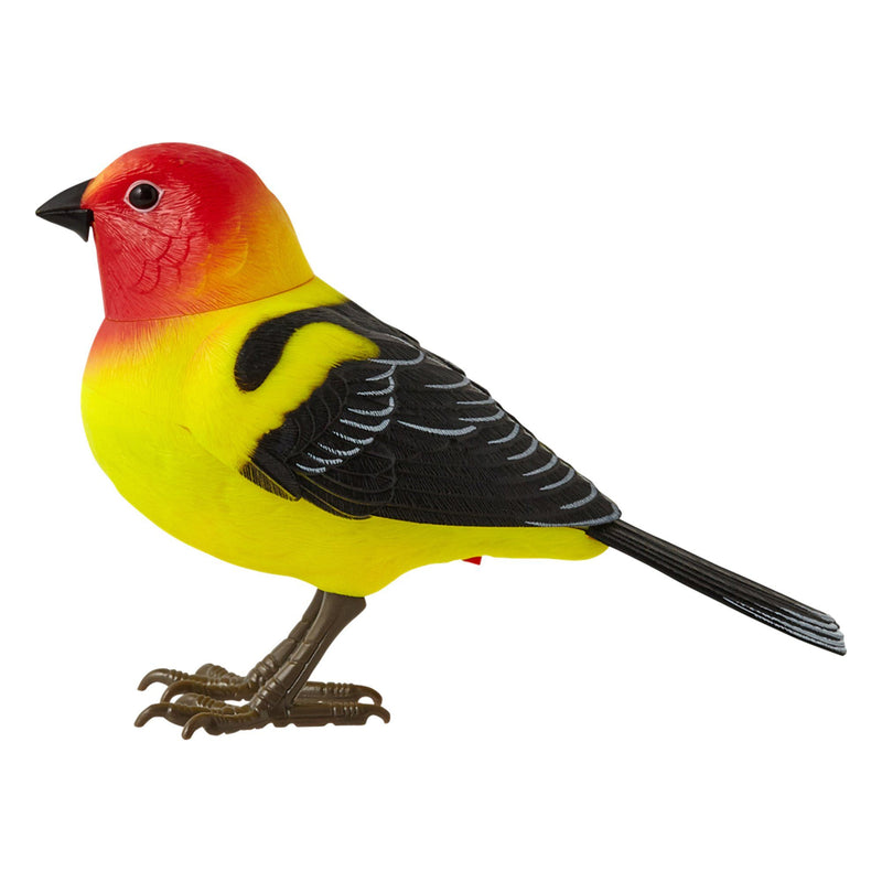 MOTION DETECTOR Music Bird Yellow