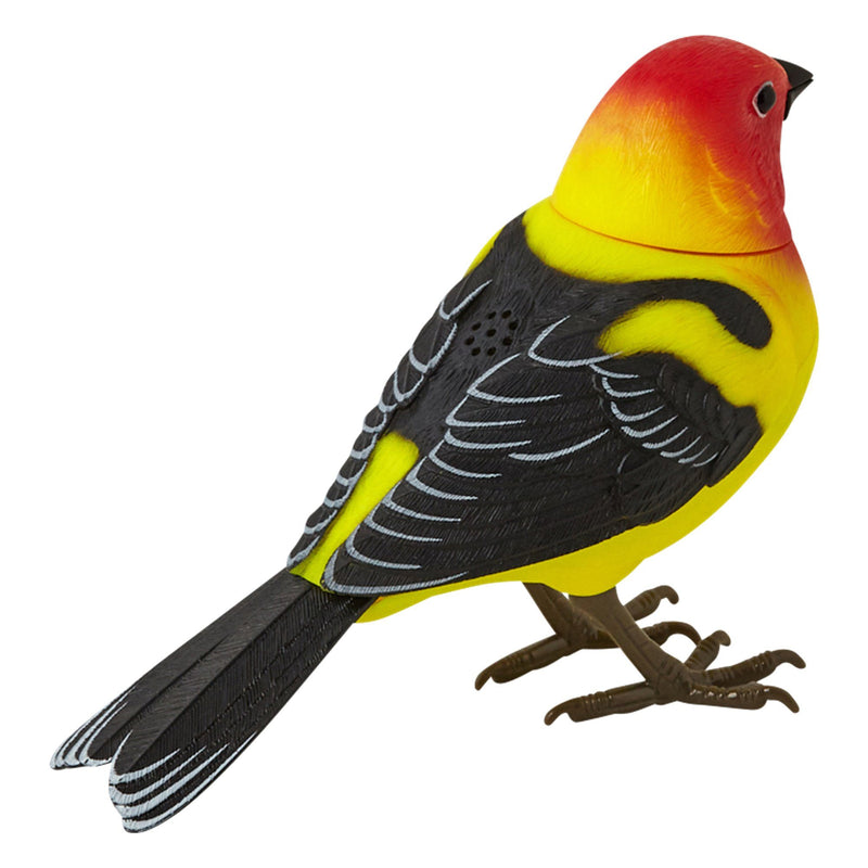 MOTION DETECTOR Music Bird Yellow