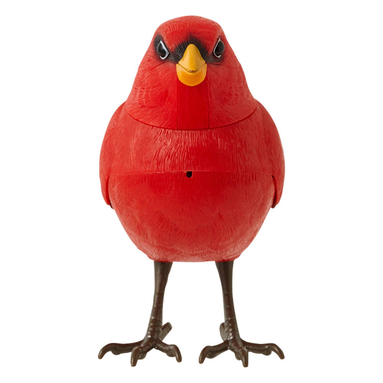 MOTION DETECTOR MUSIC BIRD RED
