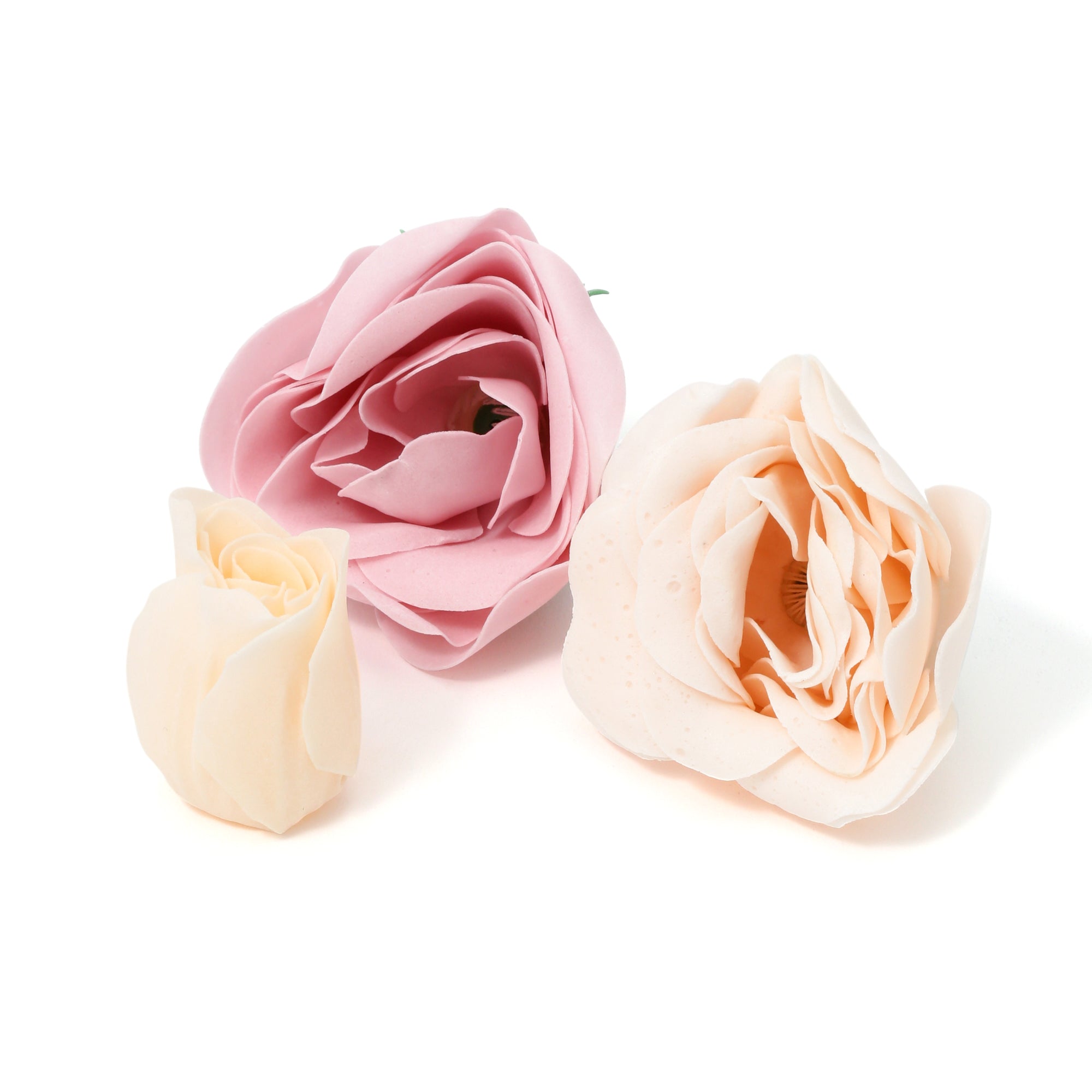 CADEAU MIGNON FIZZ&PETAL PINK