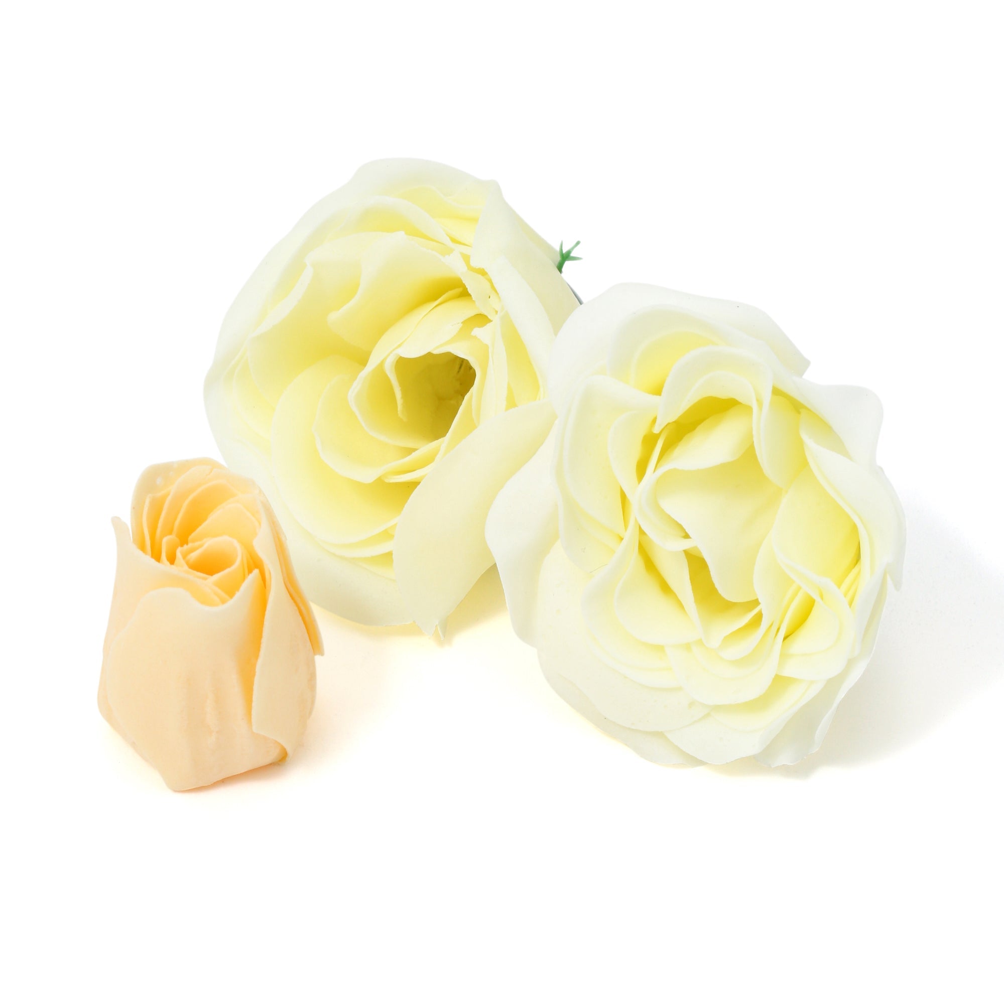 CADEAU MIGNON FIZZ&PETAL LIGHT GREEN