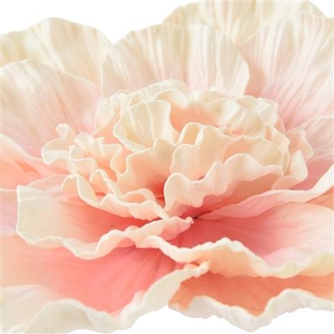 WALL FLOWER PEONY SMALL PINK